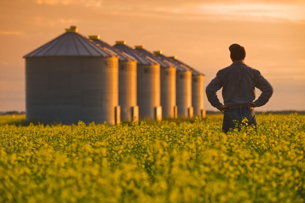 Agriculture Crop Protection Canadian Farmer In Canola Field Nufarm Canada