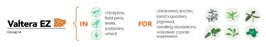 Valtera-EZ-weeds-controled-crops-treated