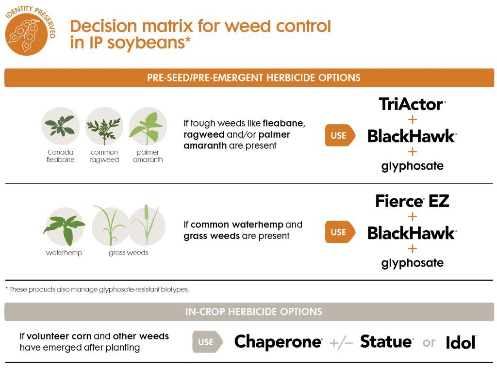 IP-soybean-matrix