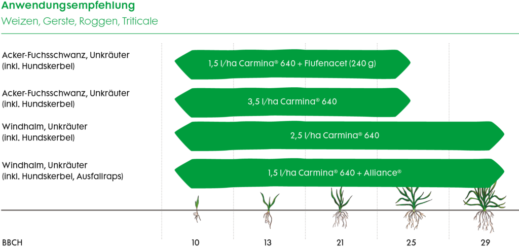 Empfehlungsgrafik Carmina 640
