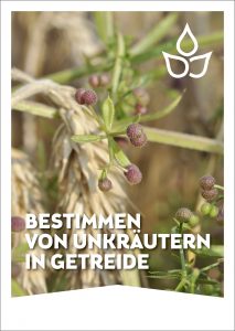 Cover - Bestimmung von Unkräuter im Getreide
