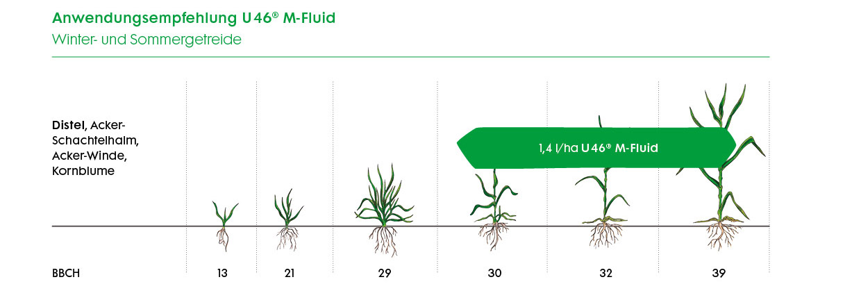 Anwendungsempfehlung U46 MFluid im Getreide