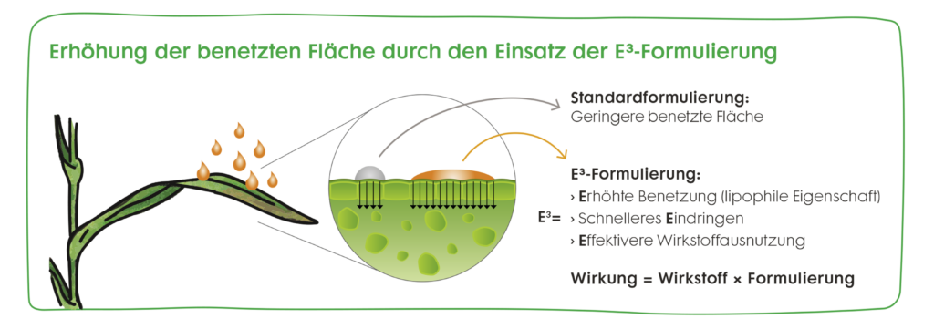Erhöhung der benetzten Fläche durch die E³-Formulierung