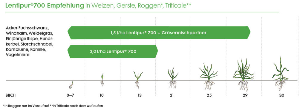 Empfehlung Lentipur im Herbst