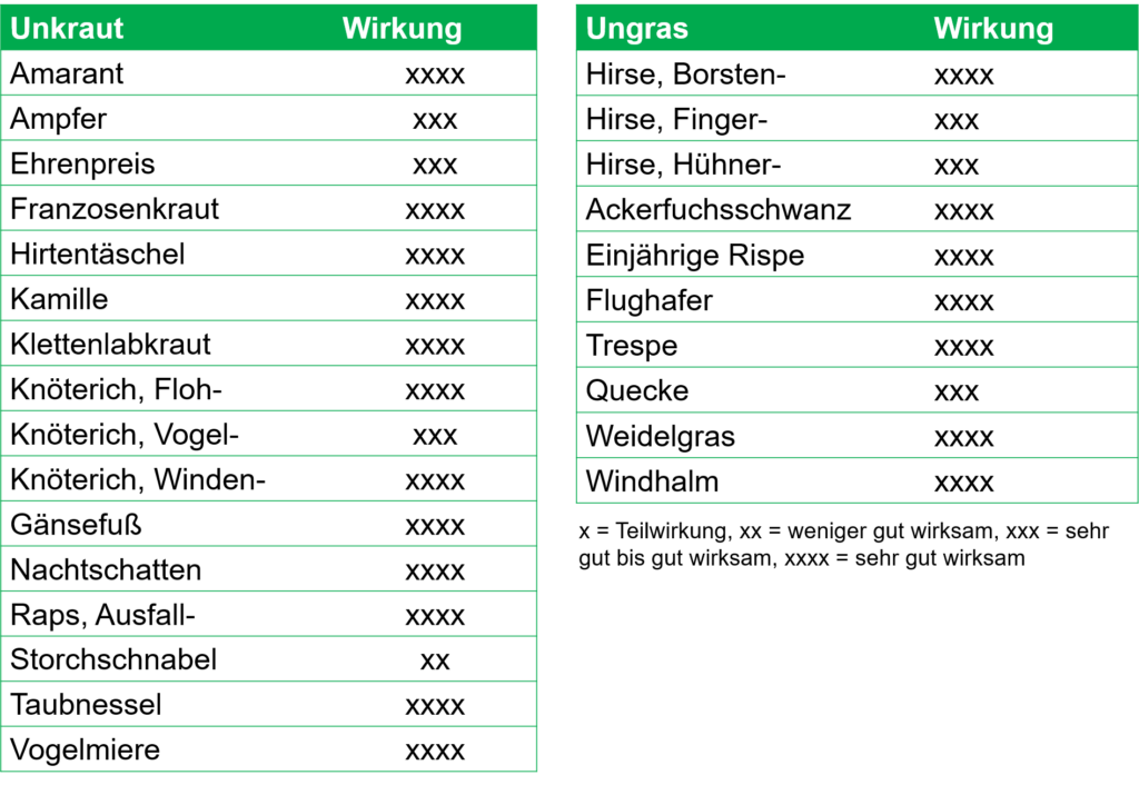 Wirkungsspektrum der Tanika Mais Combo gegen Gräser und Unkräuter