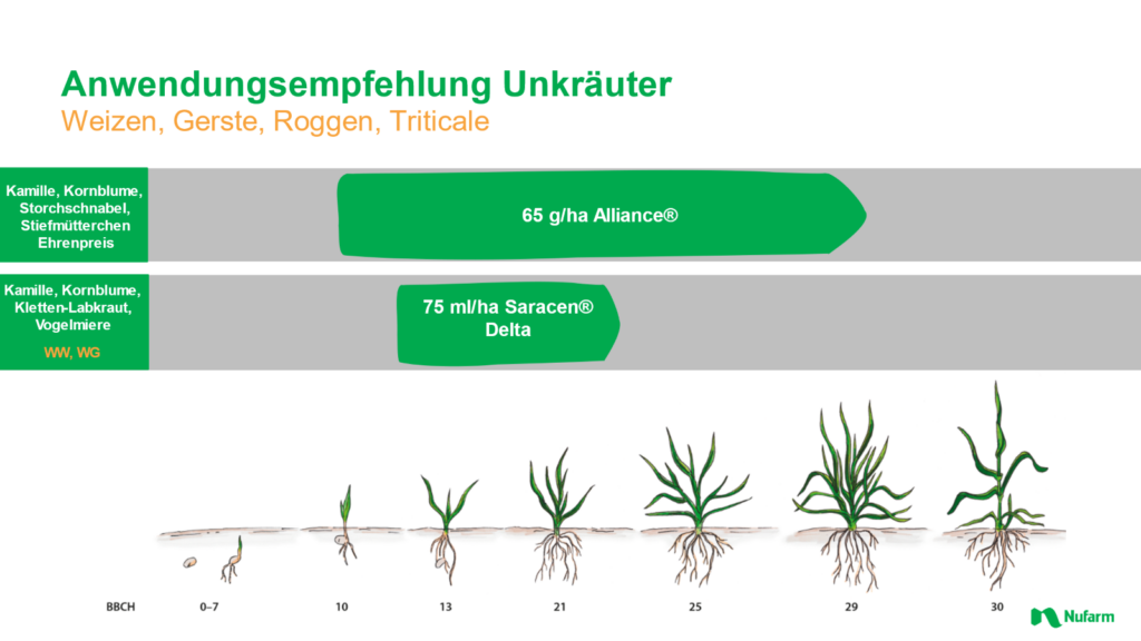 Unkräuterbekämpfung Anwendungsempfehlung für Getreide im Zeitstrahl