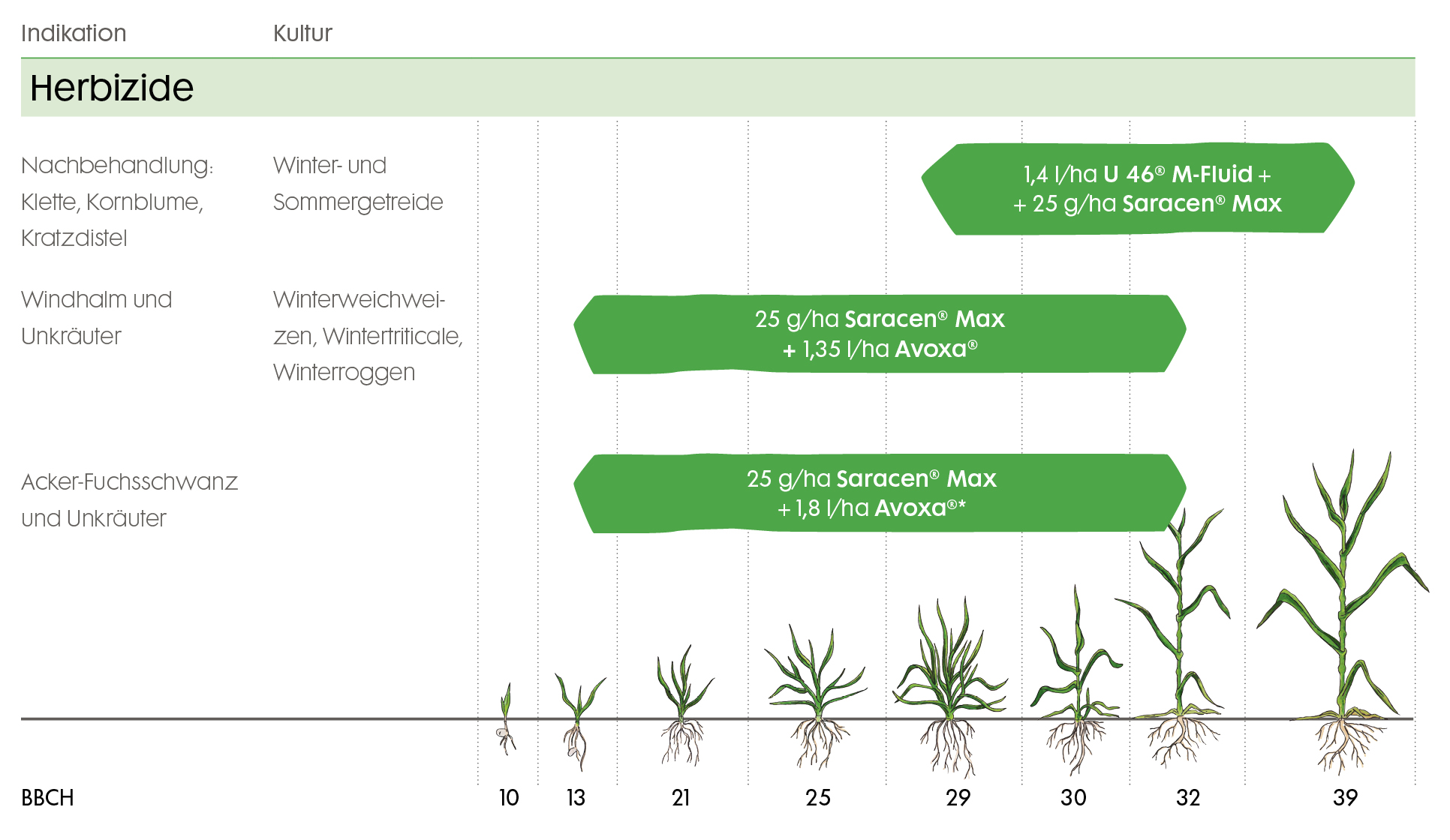 Das Bild zeigt eine grafische Darstellung der Anwendung von Herbiziden in verschiedenen Wachstumsstadien von Winter- und Sommergetreide. Verschiedene Herbizidmischungen und Dosierungen sind in grünen Balken dargestellt, die sich über die Wachstumsstadien von BBCH 10 bis BBCH 39 erstrecken. Die Indikationen umfassen Nachbehandlung von Kletten, Kornblume, Kratzdistel, Windhalm und Unkräuter sowie Acker-Fuchsschwanz und Unkräuter.