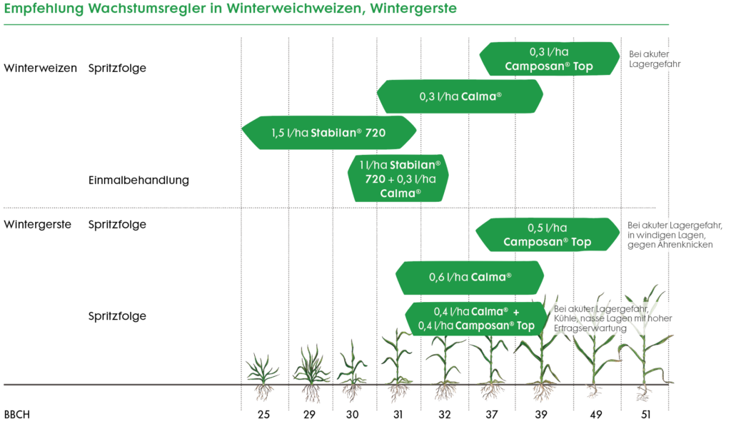 Empfehlung Wachstumsregler in Winterweichweizen, Wintergerste.