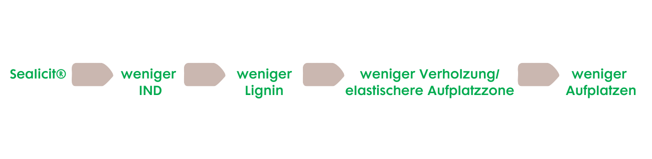  Wirkungsweise von Sealicit