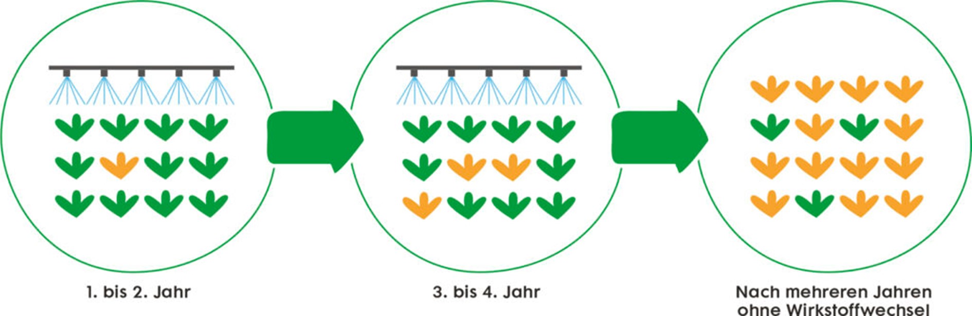 The image shows three graphs illustrating the effects of not rotating active ingredients over several years. The graphs depict a spraying process over plants at different stages. In the first and second year, the plants are predominantly green; in the third and fourth years, there is a mix of green and orange plants; and after several years without rotating active ingredients, all plants are orange, indicating resistance.