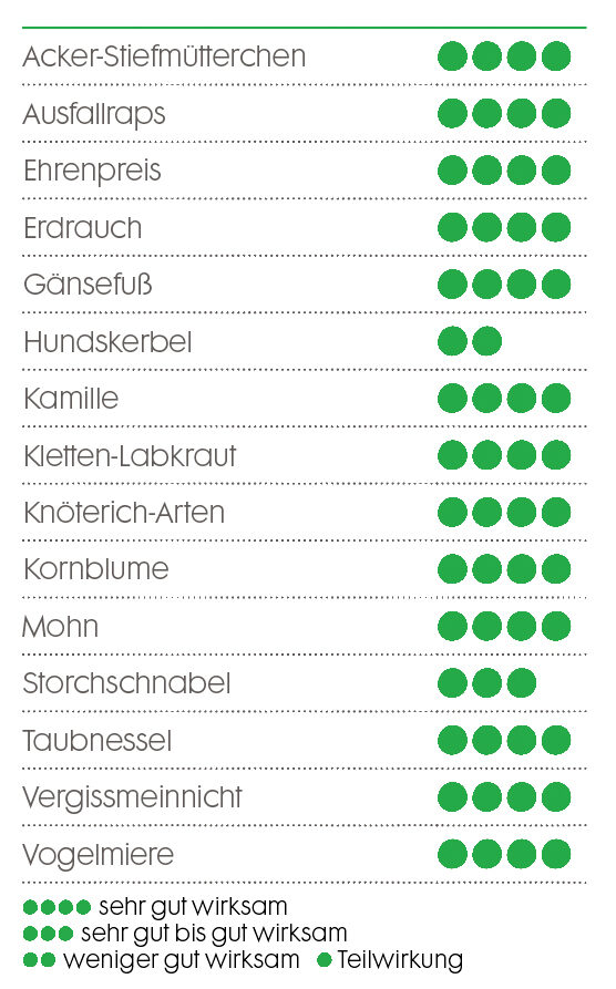 The image shows a list of weeds and their effectiveness against various treatments. Each weed species is rated by green circles, indicating effectiveness from very good to partially effective. Examples include field pansy, volunteer rape, speedwell, and others.