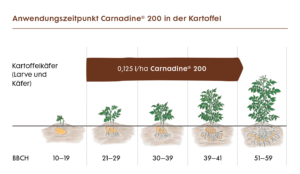 Anwendungsempfehlung von Carnadine 200 gegen Kartoffelkäfer 