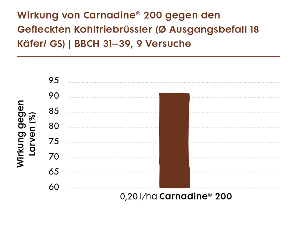 Versuchsergebnis von Carnadine<sup>®</sup> 200 gegen Larven des Gefleckten Kohltriebrüsslers als Balkendiagramm