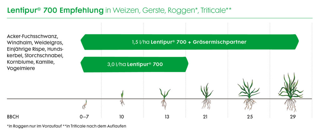 Anwendungsempfehlung Lentipur