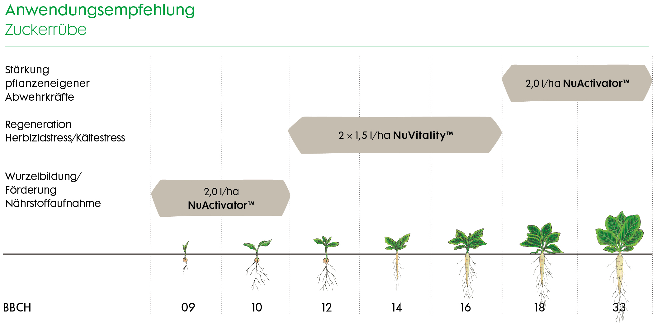 Empfehlung von NuVitality und NuActivator in der Zuckerrübe