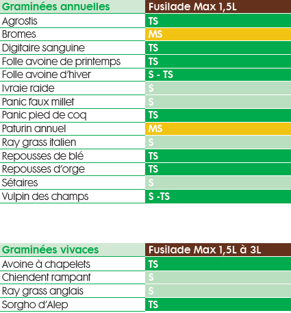 Spectre d'efficacité Fusilade Max