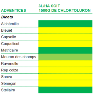 Spectre d'efficacité du Chlortoluron sur dicots