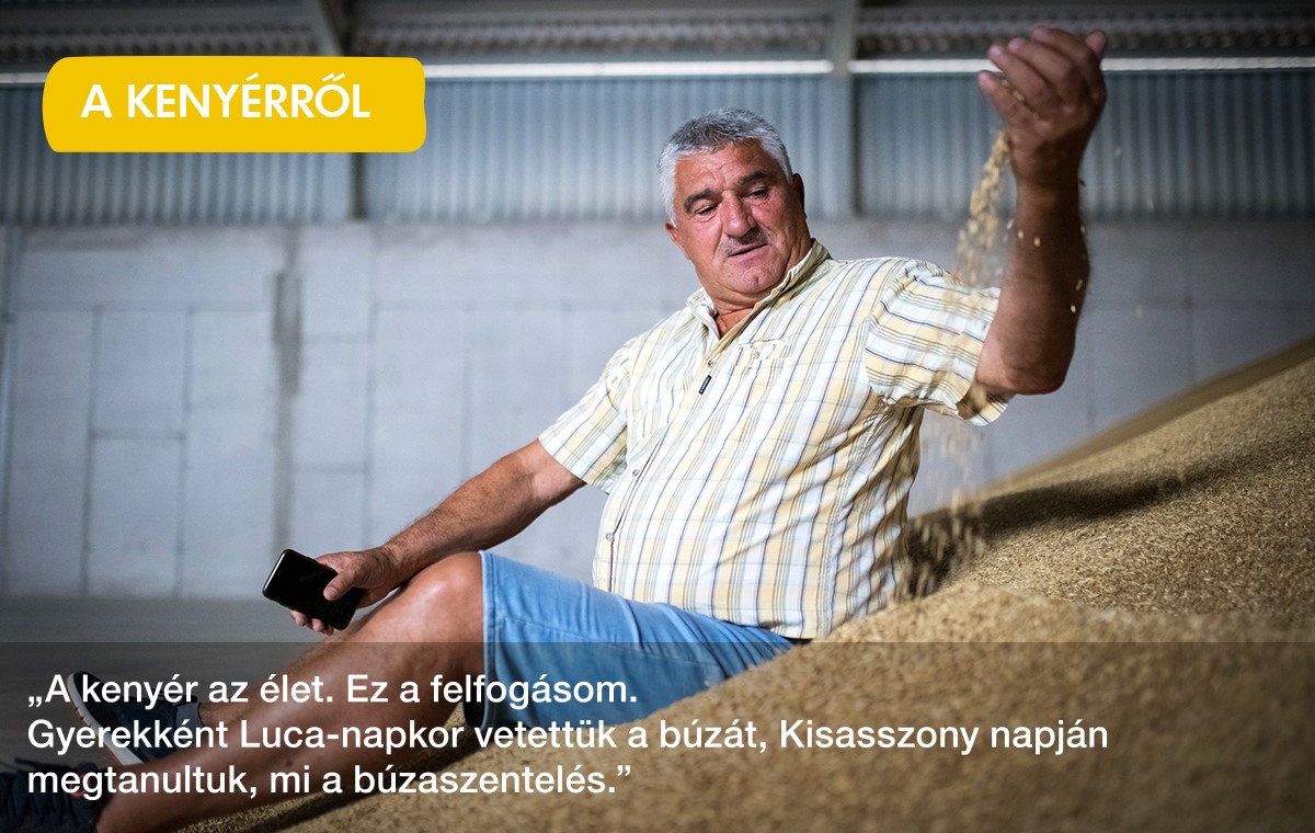 rozsi_kenyerrol_kepalairas_1