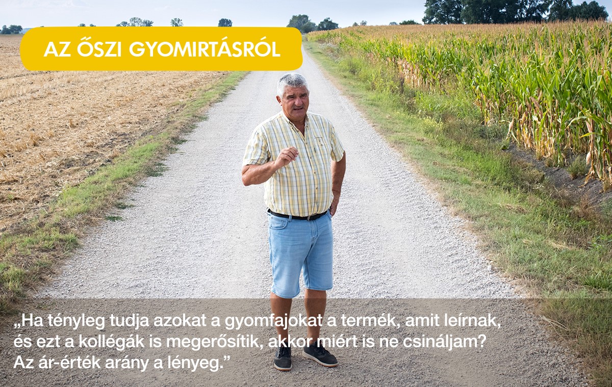 rozsi_kenyerrol_kepalairas_1