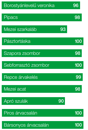Nuance Super 50 g/ha + Barclay Hurler 200 0,5 l/ha + adjuváns 0,1% kombináció hatékonysága a gyomok ellen. Utolsó értékelés eredménye: 2024. május 29., Hajós, Nufarm-kísérlet