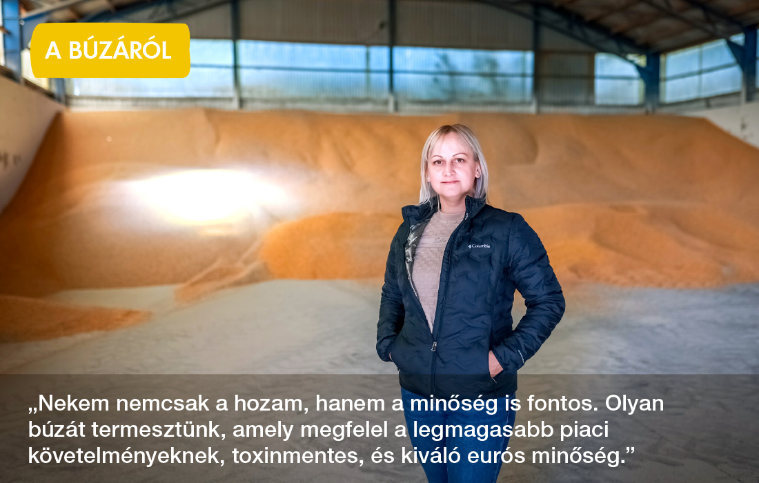 búza, nők a mezőgazdaságban