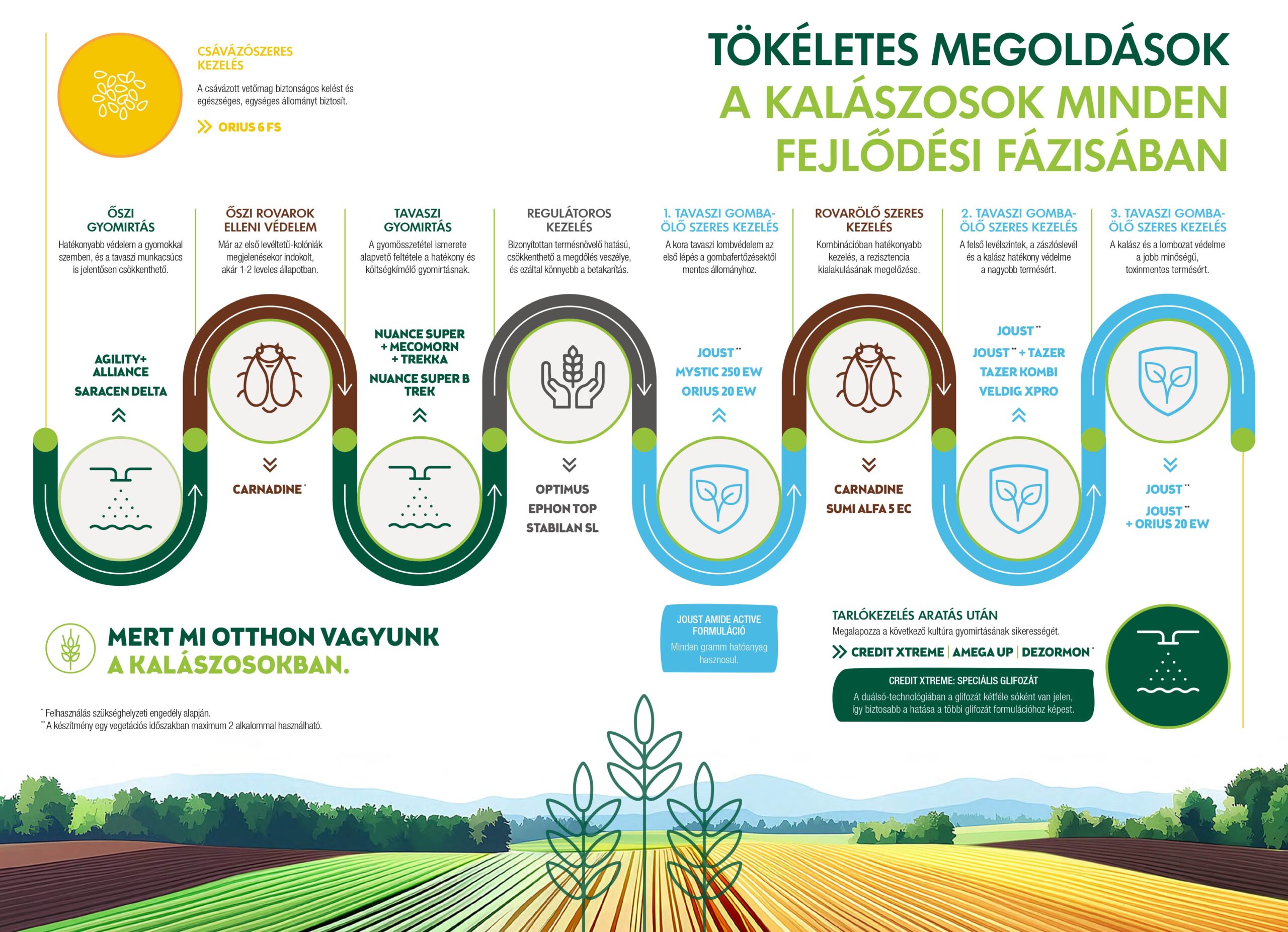 Kalászos roadmap