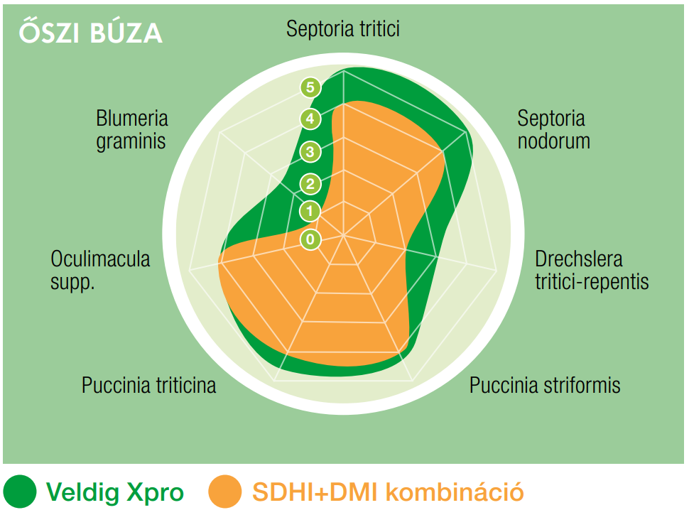oszi-buza