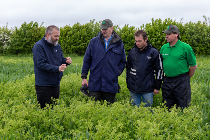 NIAB experts take Nufarm teaa mates around the diverse weeds site